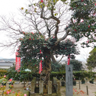 DSCN000312.jpg