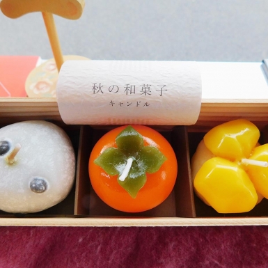 DSCN0269-kouho3.jpg