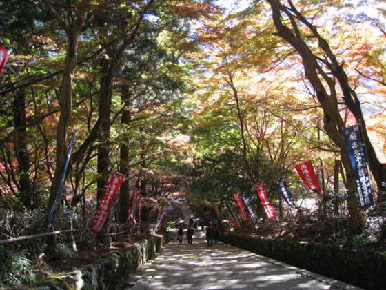 鰐淵寺 写真